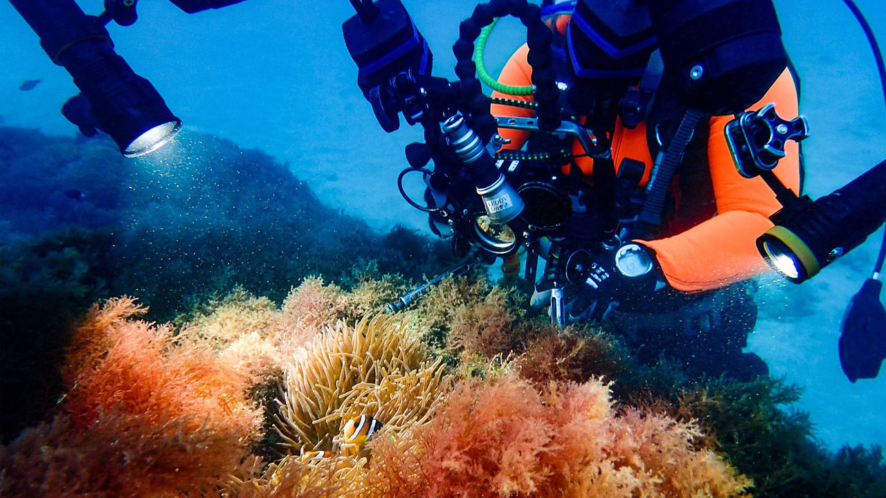 OrcaTorch 水下攝影手電筒