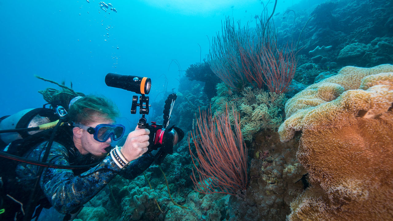 OrcaTorch 水下攝影手（shǒu）電筒