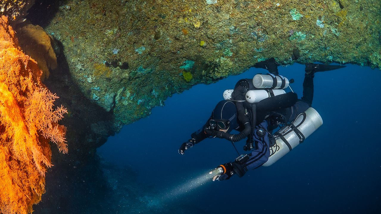 OrcaTorch木瓜视频 D630技術潛水照明