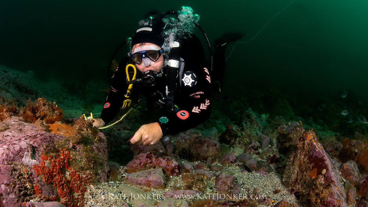 OrcaTorch 水下攝影手電筒