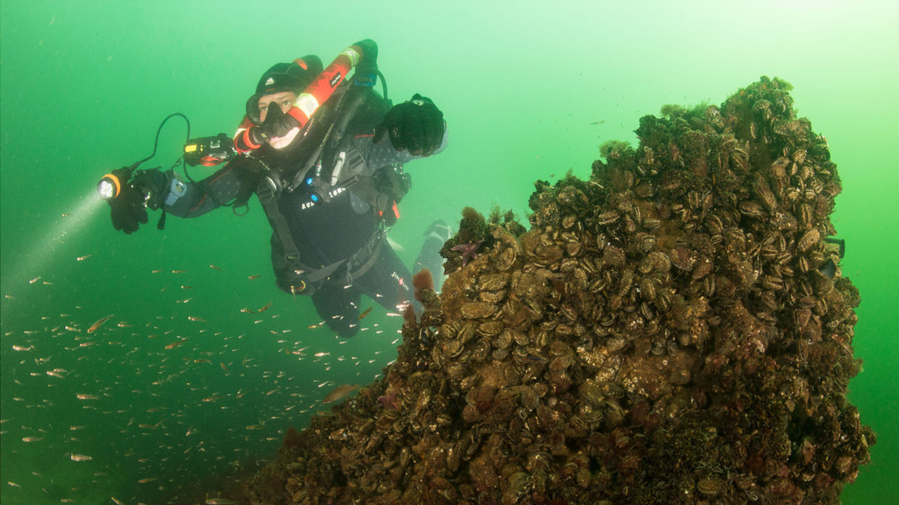 洞穴潛（qián）水照明，水下探險燈，分（fèn）體（tǐ）式潛水電筒 OrcaTorch D630