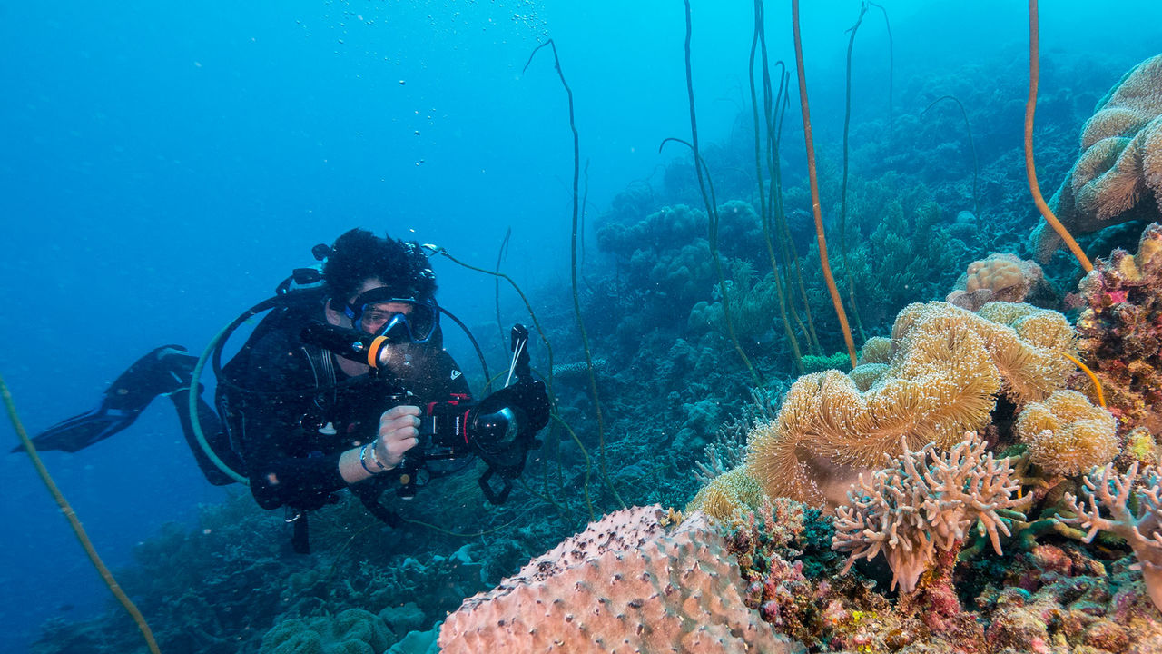 OrcaTorch 水下（xià）攝影手電筒