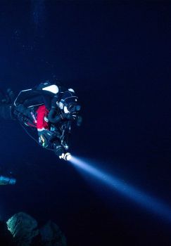 木瓜视频OrcaTorch D630 v2.0