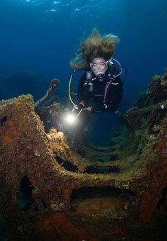 OrcaTorch木瓜视频 D950V