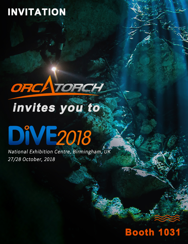 Dive 2018.jpg