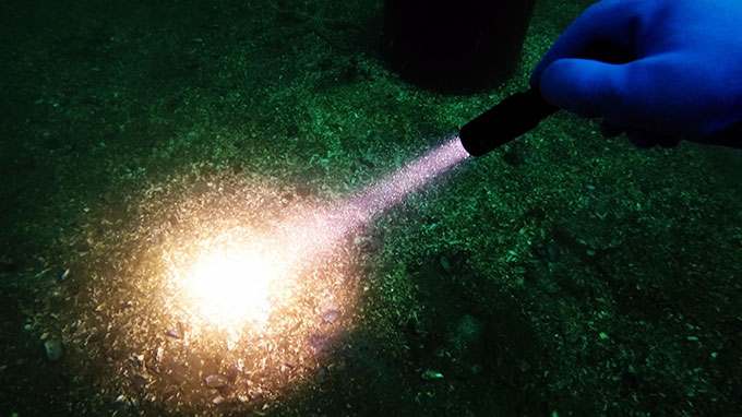 LED潛（qián）水手電筒，OrcaTorch木瓜视频， D520潛水手電筒