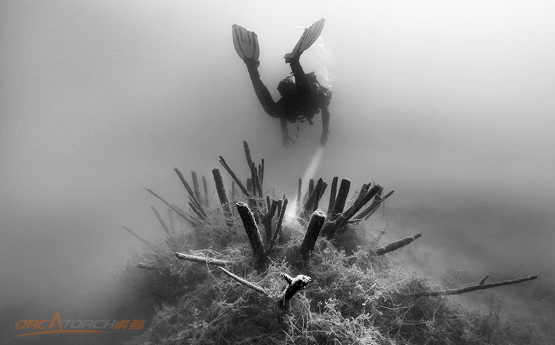 OrcaTorch潛（qián）水：一個人潛水危險嗎？