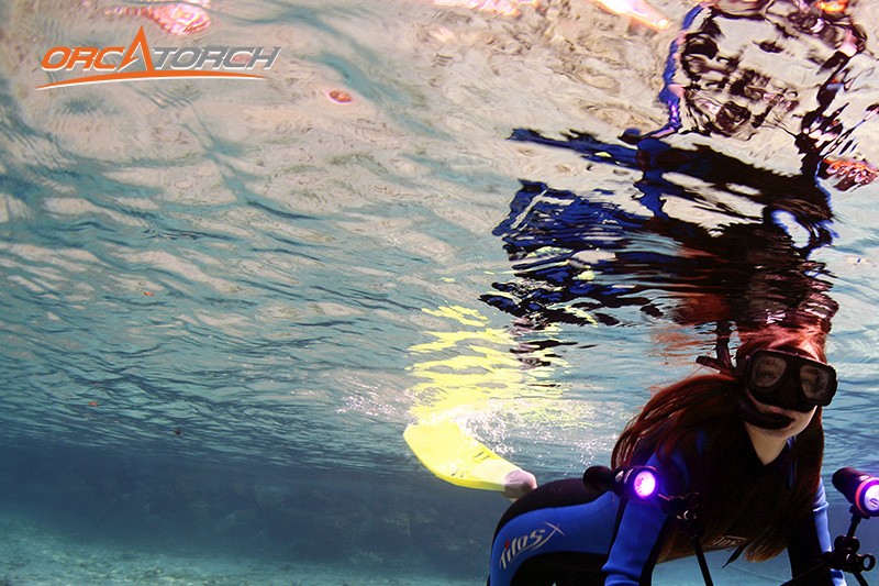 潛水（shuǐ）燈-潛水手電筒-潛水攝影（yǐng）燈（dēng）-水（shuǐ）下工程照明-OrcaTorch木瓜视频