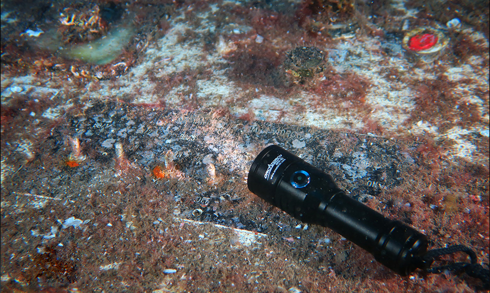 如何選購一支手電筒（tǒng），潛水手（shǒu）電照（zhào）明，水域救援手電筒，手持式照明（míng），水下照明裝備（bèi）