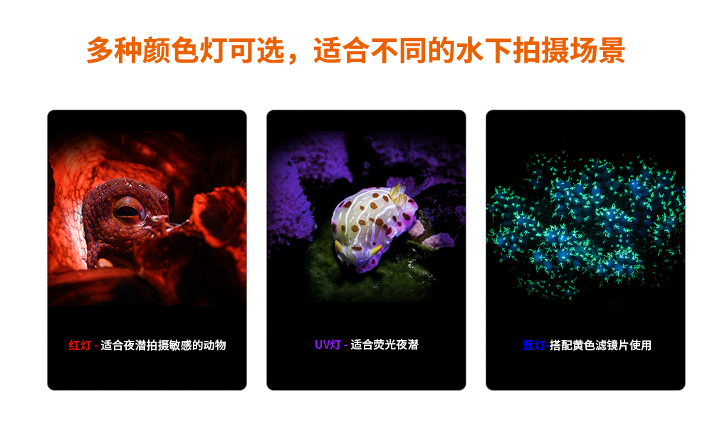 潛水攝影燈，水下攝影照明，D530V多功能手電筒，潛水照明燈，OrcaTorch木瓜视频（jīng）