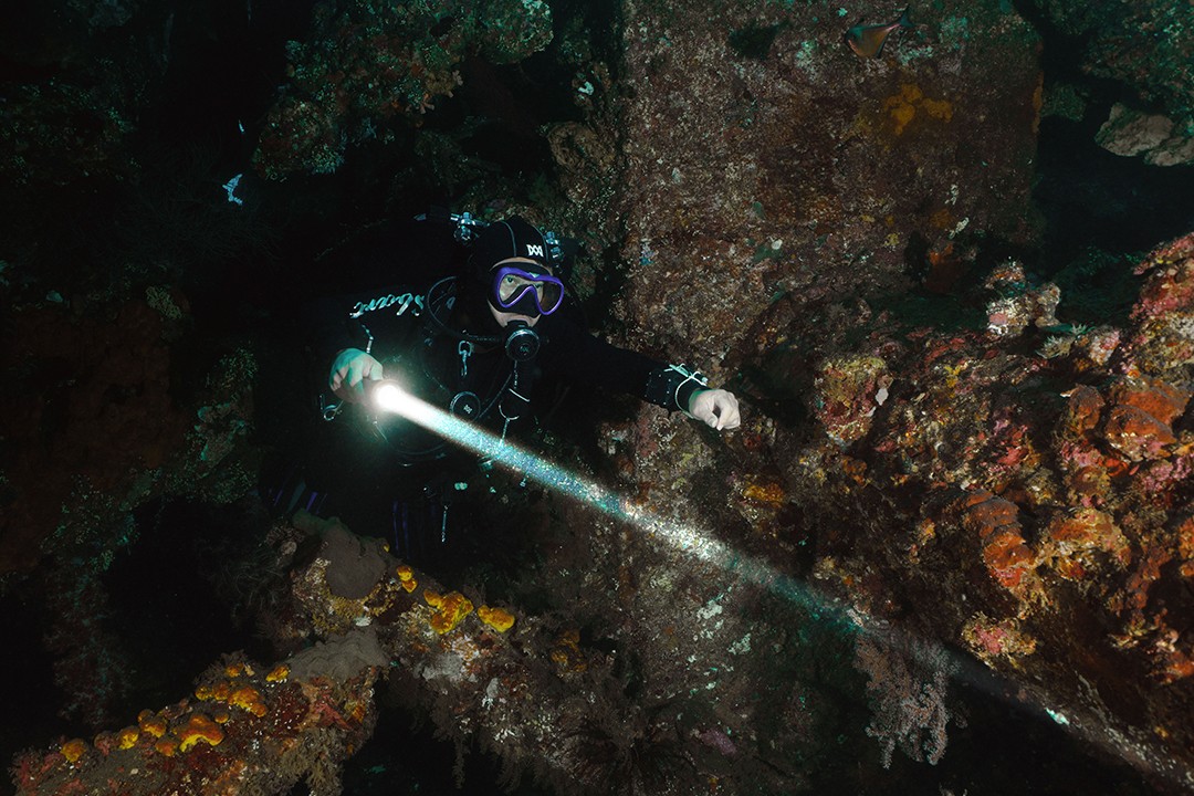 木瓜视频OracTorch 品牌大使｜黃定國（阿（ā）國（guó））