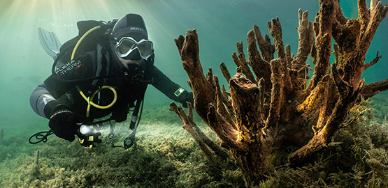 用“光”訴說你們的真情——水域（yù）救援者