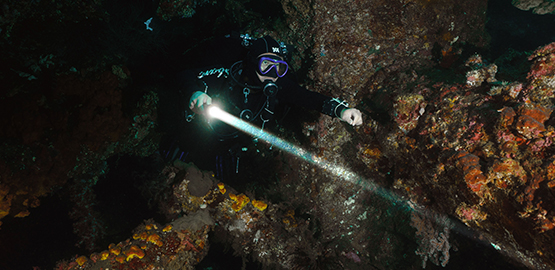 品牌大使｜黃定國（阿國）