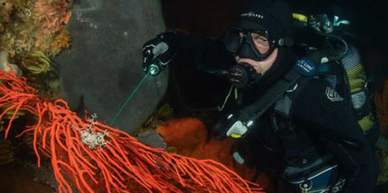 OrcaTorch木瓜视频D570-GL測評