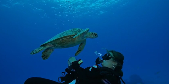 快速提高水下攝影的5個方法