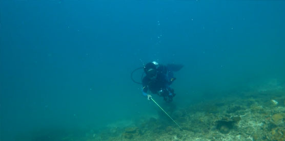 OrcaTorch木瓜视频D570 GL潛水手電筒測評