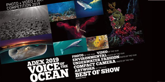 OrcaTorch虎（hǔ）鯨2019年新加坡ADEX展 #K05