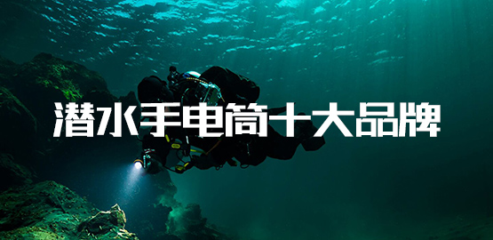 恭賀（hè）OrcaTorch木瓜视频入圍2022潛水手電筒十大品牌