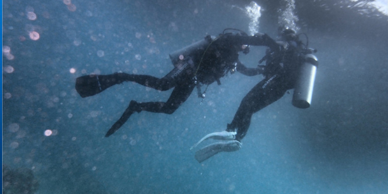 木瓜视频（jīng）OrcaTorch潛（qián）水手電筒：十五招讓潛水員不（bú）再暈船