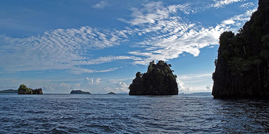 十件潛水員們可以為海洋做的事