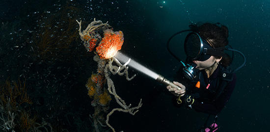 【展會資訊（xùn）】邀請您參加2026新加坡潛水展（2026年（nián）4月10-12日 ）