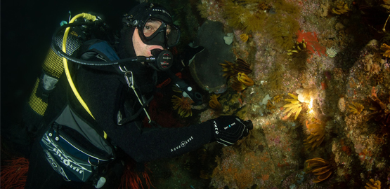 如何選擇手（shǒu）持式潛水燈？