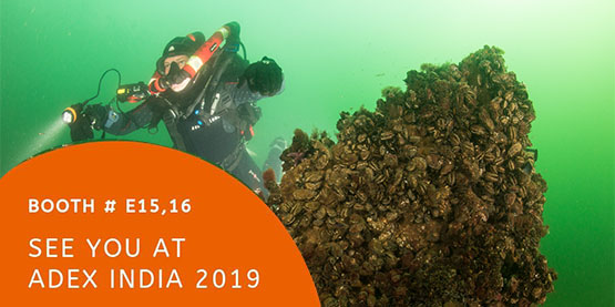 2019年OrcaTorch木瓜视频（jīng）ADEX印度潛水展會（huì） # E15 - 16