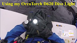 OrcaTorch D620 Canister Dive Light Update