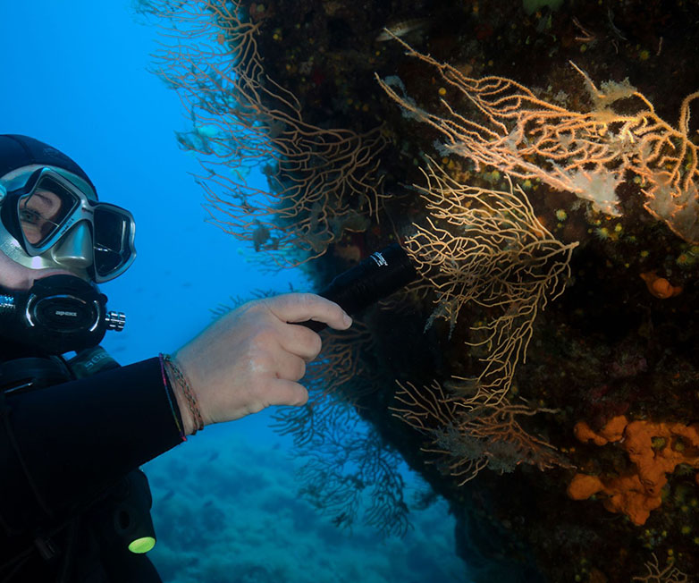 OrcaTorch木瓜视频 D580機械開關電筒，休（xiū）閑潛水燈，潛水手電筒，水下工（gōng）程照明（míng），潛水裝備