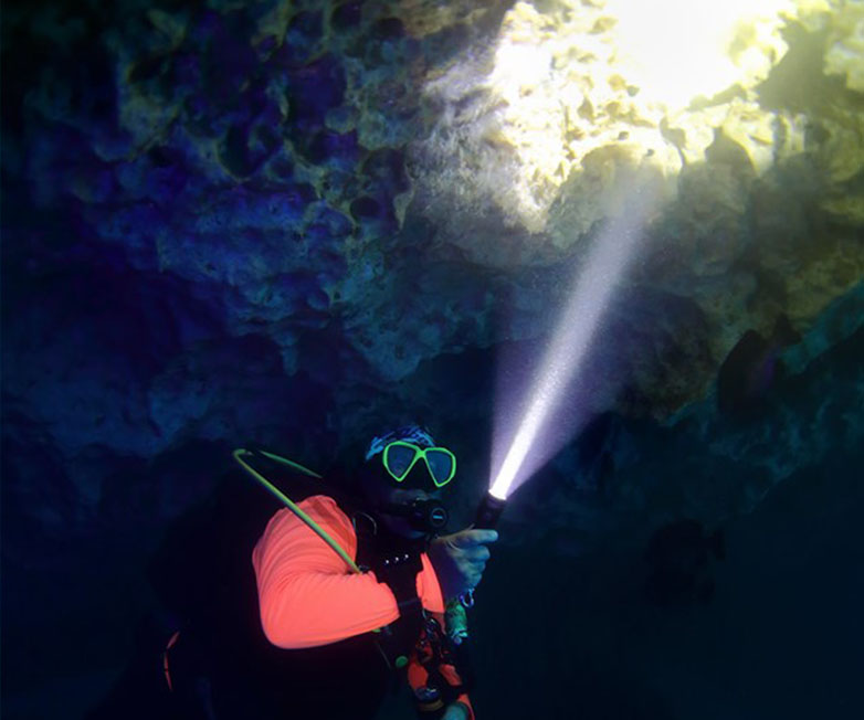 D530聚光潛水手電筒，休閑潛水照明（míng），休閑潛水手電筒，休閑潛水補光燈， OrcaTorch木瓜视频