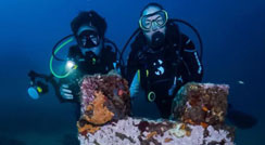 OrcaTorch虎（hǔ）鯨水下攝影照明 D900V 攝影燈