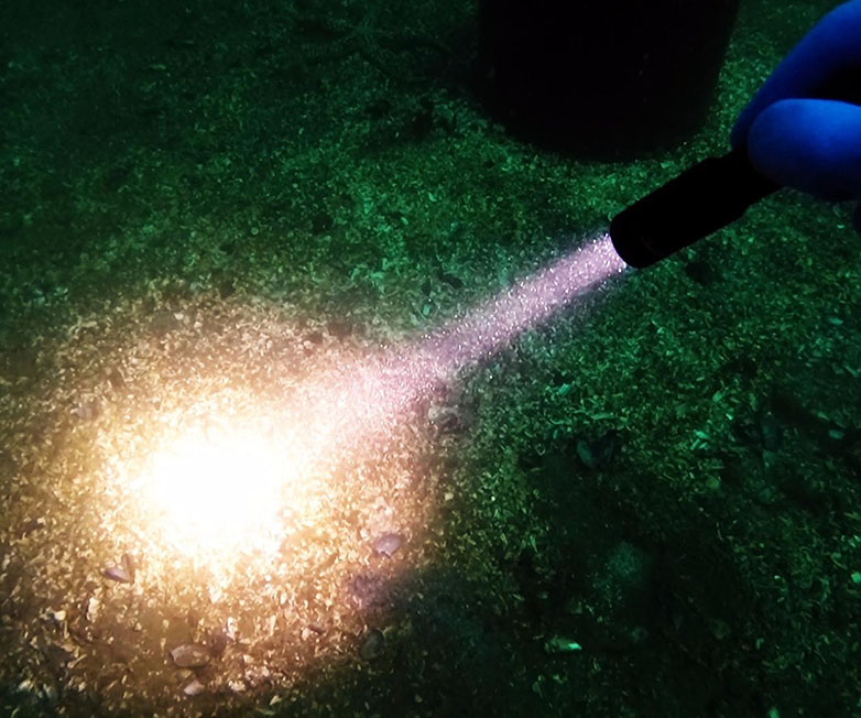 OrcaTorch木瓜视频 D520迷你（nǐ）潛水手（shǒu）電，小巧手電筒，便捷式潛水手電筒，洞穴潛水燈