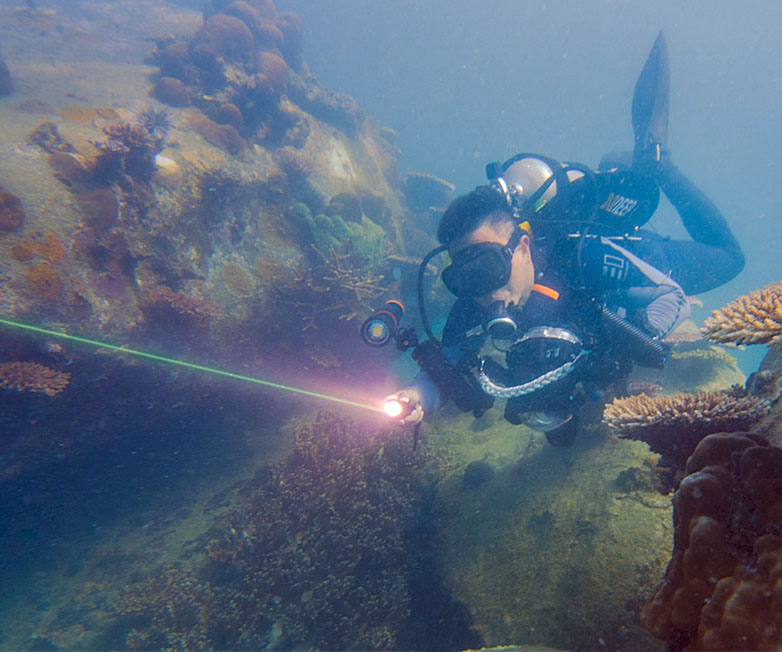 D570-GL激光潛水手電,綠光潛水手電（diàn）筒,白光+綠激光潛水手電筒，水下探索手電筒，OrcaTorch木瓜视频